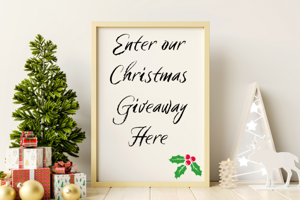 enter our Christmas holiday giveaway here