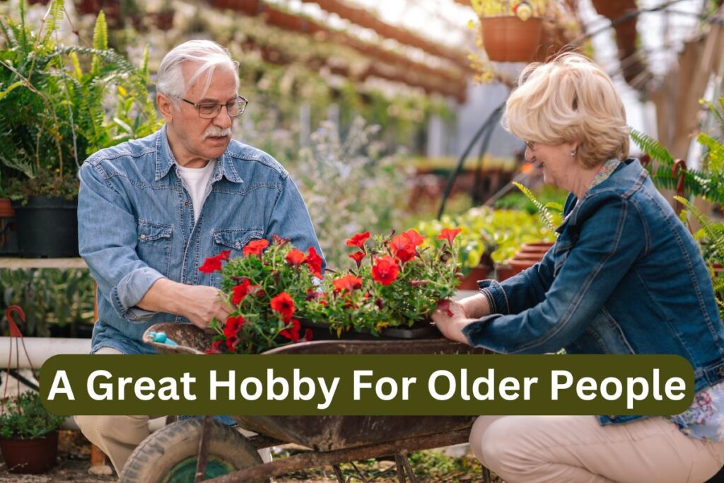 Gardening for Seniors
